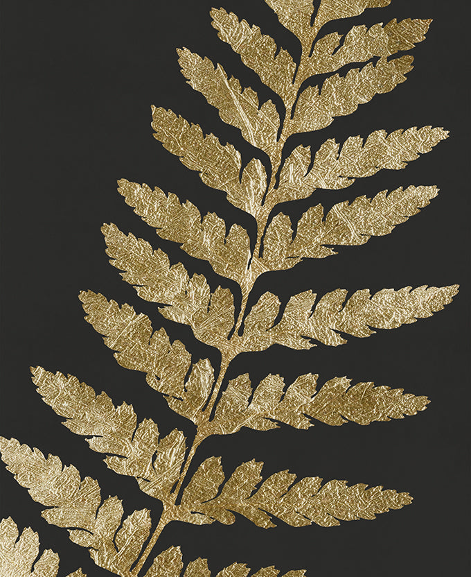 Herbarium IV