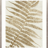 Herbarium V Small (465mm W x 560mm H) / Standard Clear Glass