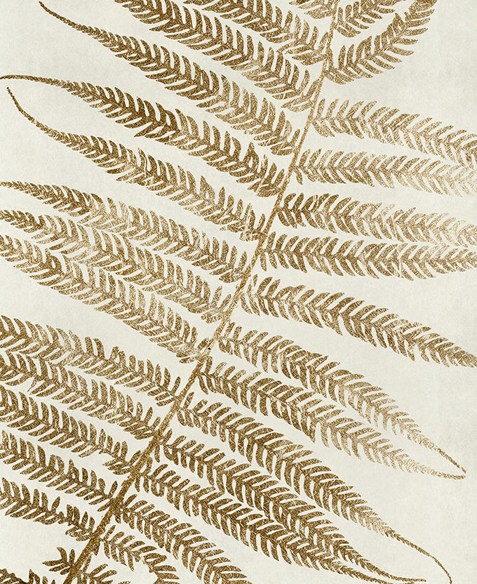Herbarium V