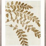 Herbarium VI Small (465mm W x 560mm H) / Standard Clear Glass