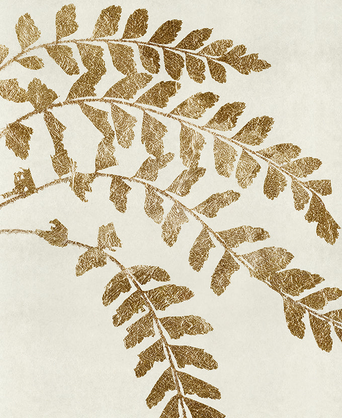 Herbarium VI