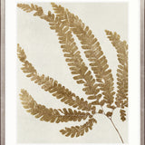 Herbarium VII Small (465mm W x 560mm H) / Standard Clear Glass