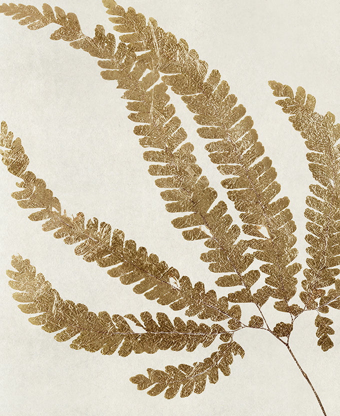 Herbarium VII
