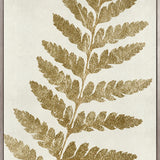 Herbarium VIII (Canvas) Large (903mm W x 1109mm H)