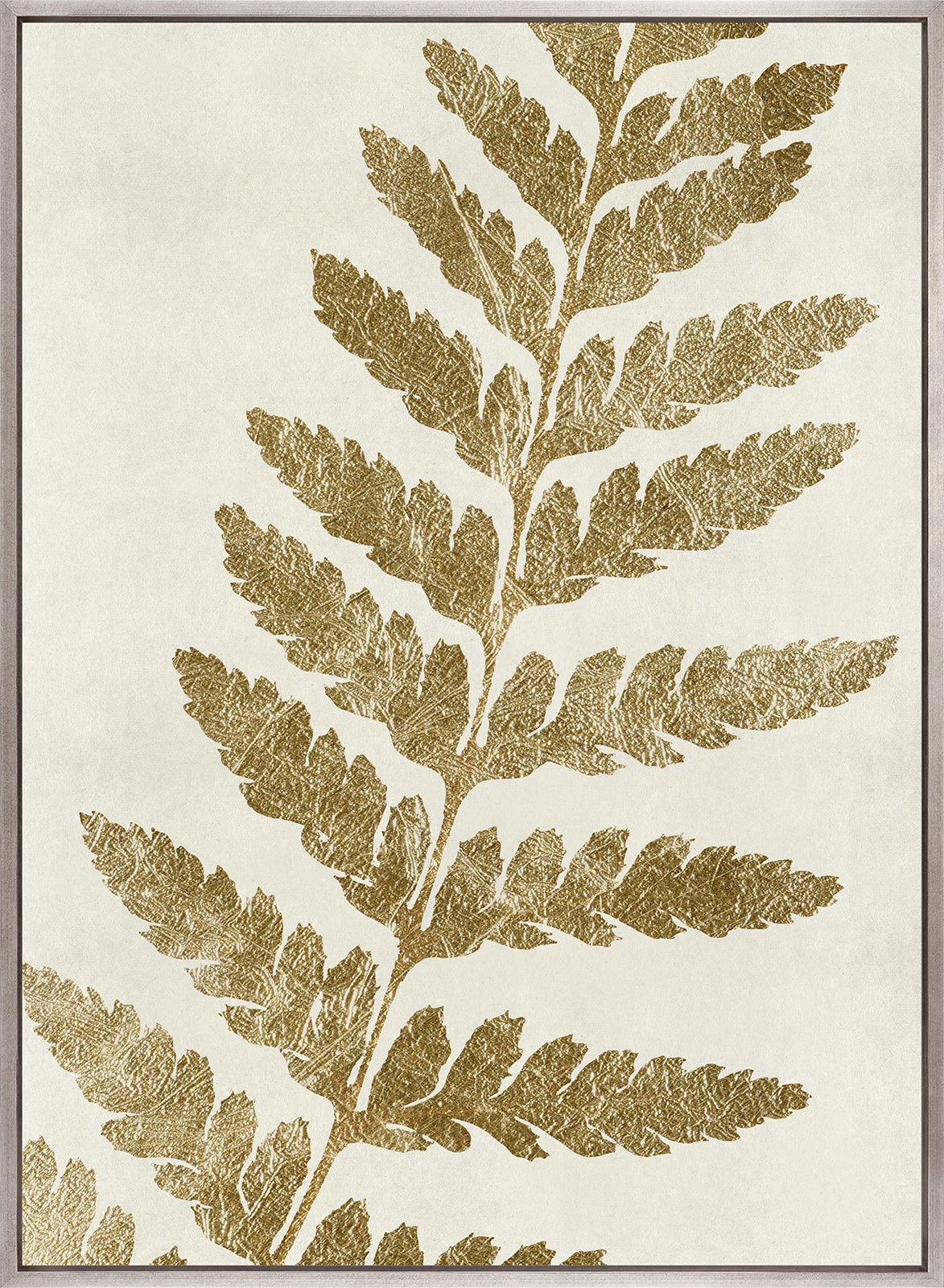 Herbarium VIII (Canvas)