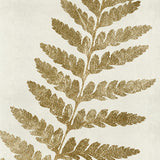 Herbarium VIII (Canvas) Large (903mm W x 1109mm H)