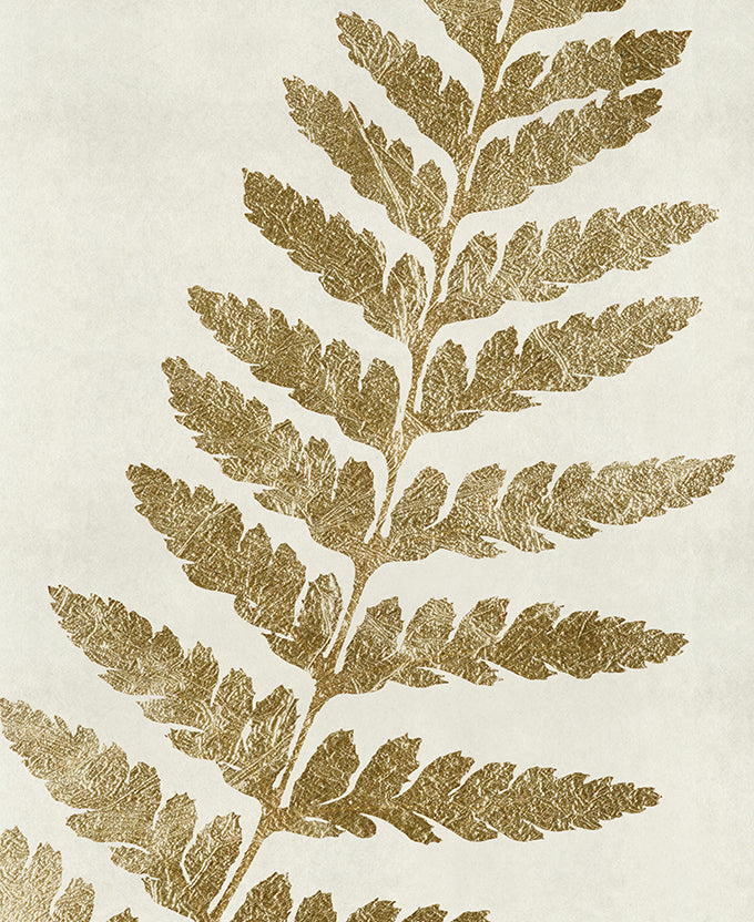 Herbarium VIII (Canvas)