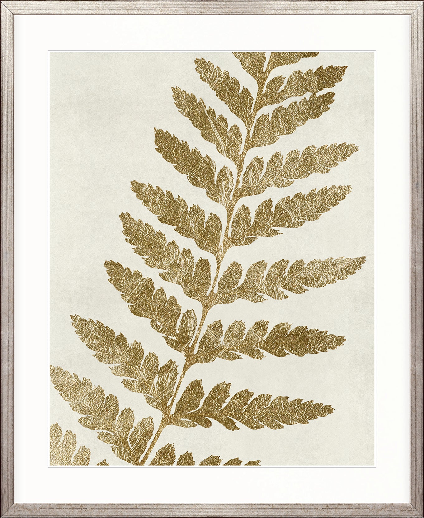 Herbarium VIII
