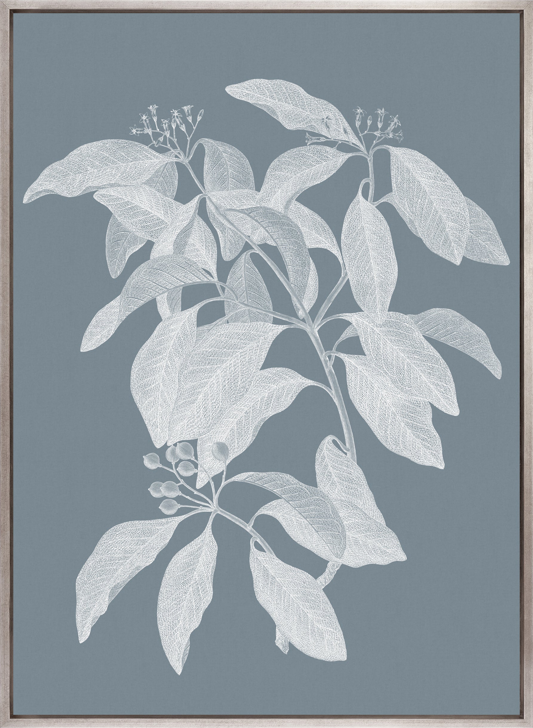 Heritage Botanical I (Canvas)