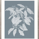 Heritage Botanical I X-Large (1000mm W x 1400mm H) / Clear Acrylic