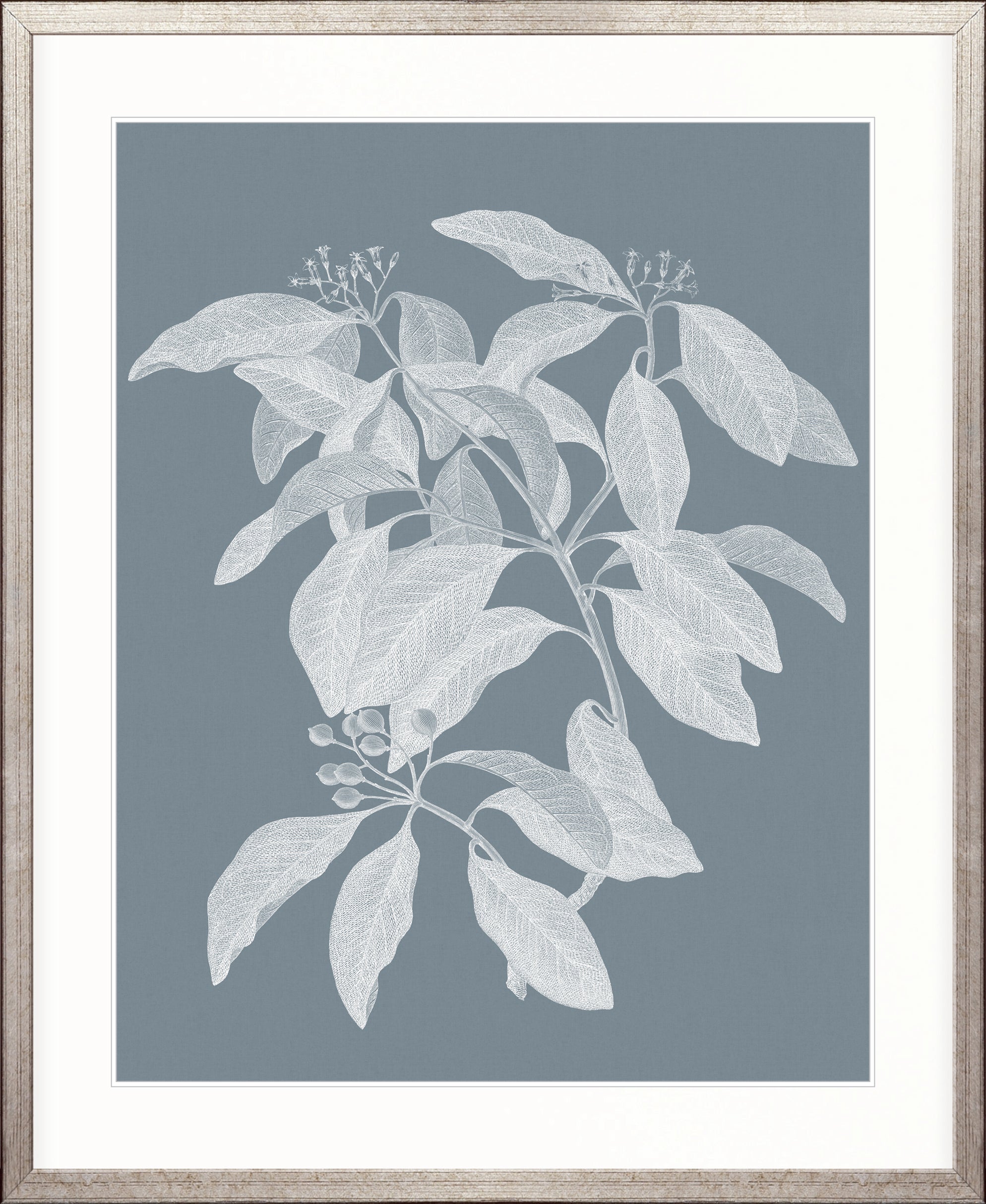 Heritage Botanical I X-Large (1000mm W x 1400mm H) / Clear Acrylic