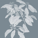Heritage Botanical I