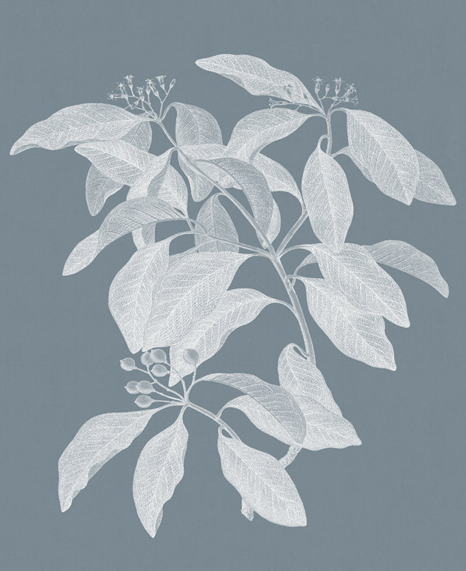 Heritage Botanical I