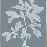 Heritage Botanical II (Canvas) Large (903mm W x 1109mm H)