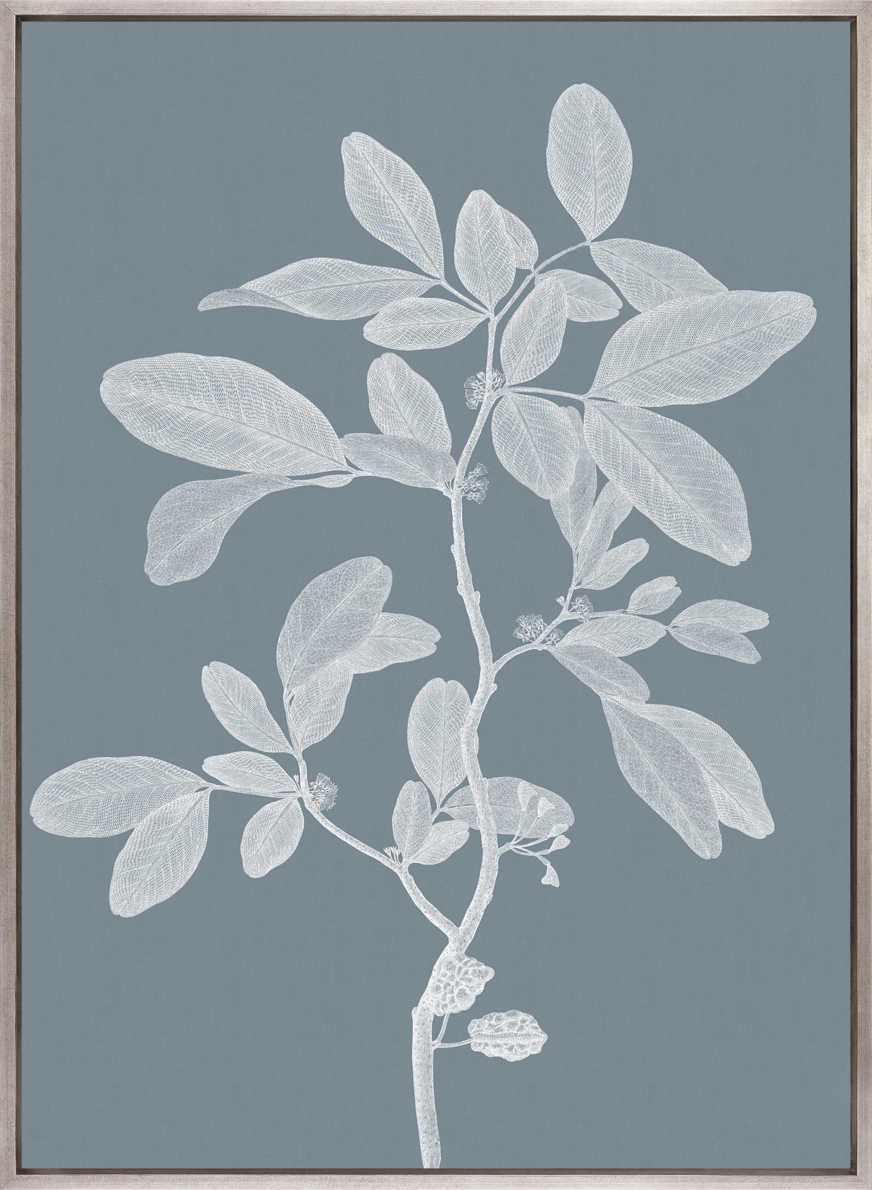 Heritage Botanical II (Canvas)