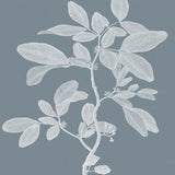 Heritage Botanical II (Canvas) Large (903mm W x 1109mm H)