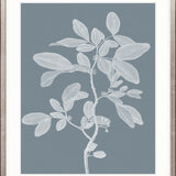 Heritage Botanical II X-Large (1000mm W x 1400mm H) / Clear Acrylic