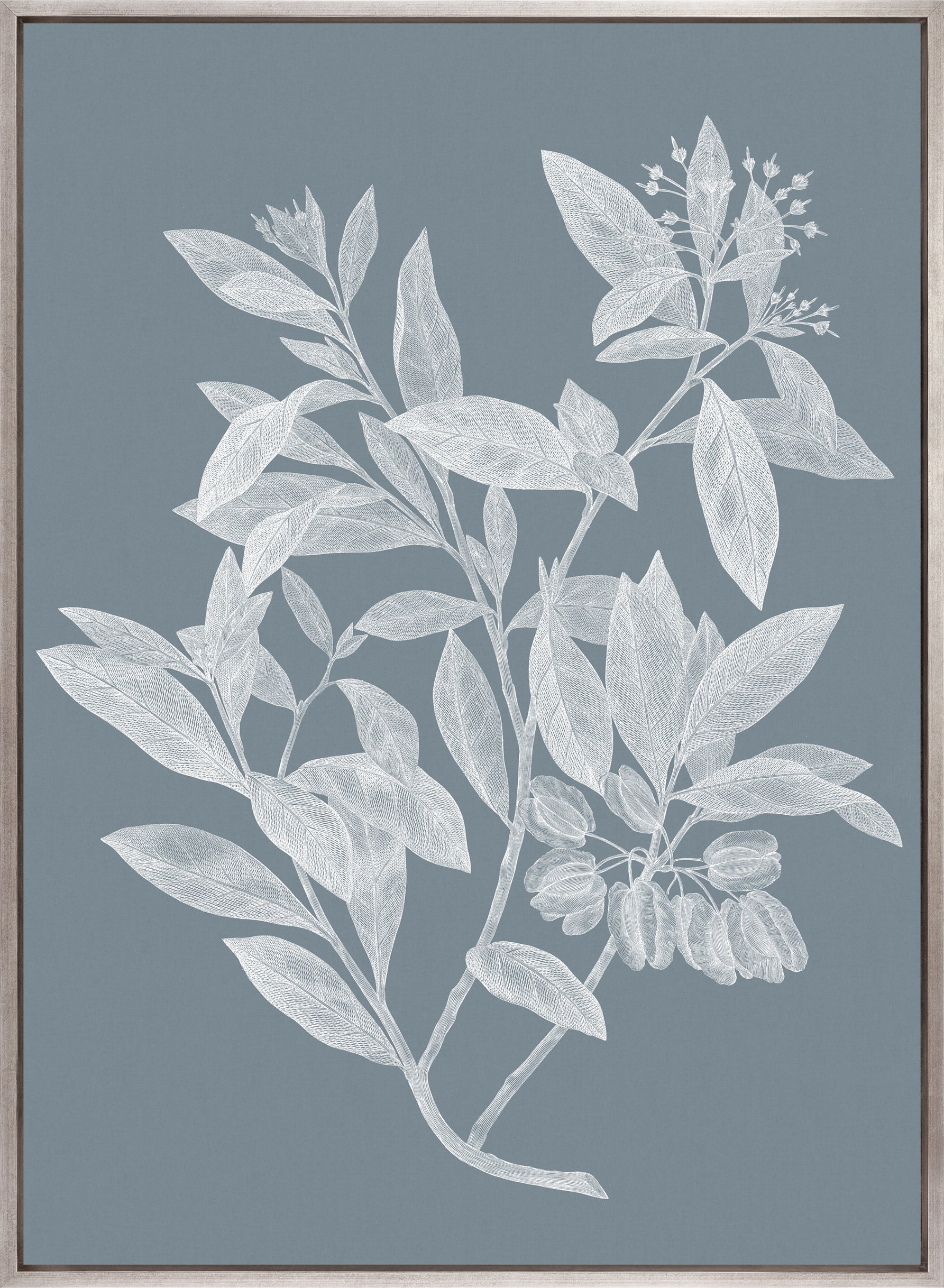 Heritage Botanical III (Canvas)