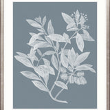 Heritage Botanical III X-Large (1000mm W x 1400mm H) / Clear Acrylic