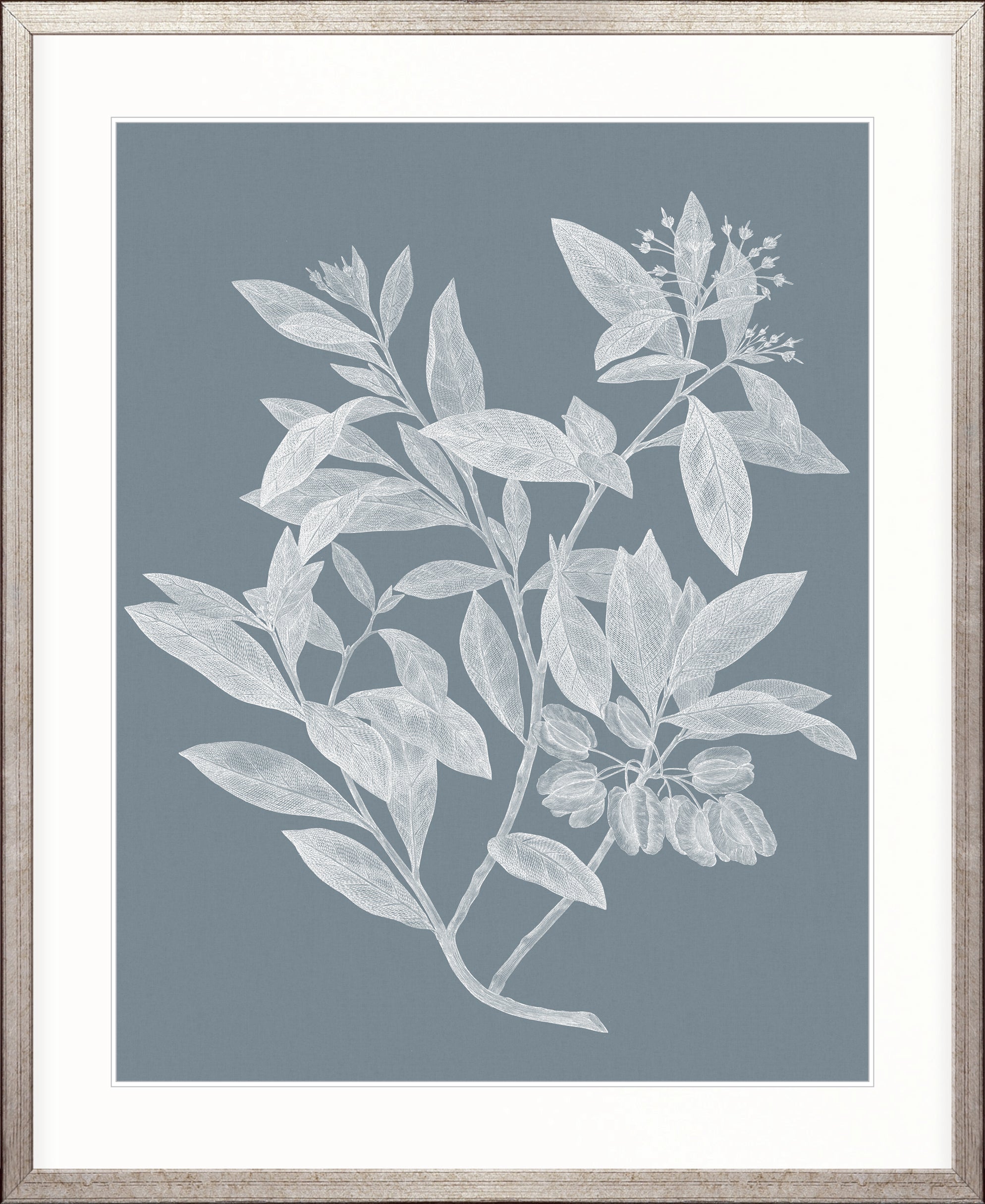 Heritage Botanical III X-Large (1000mm W x 1400mm H) / Clear Acrylic