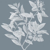 Heritage Botanical III