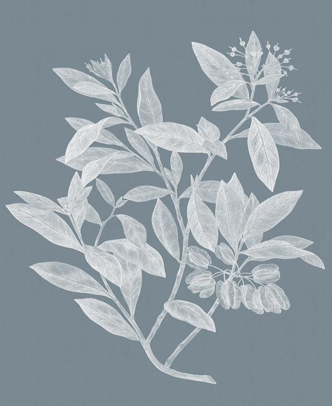 Heritage Botanical III