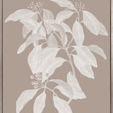 Heritage Botanical IV (Canvas) Large (903mm W x 1109mm H)