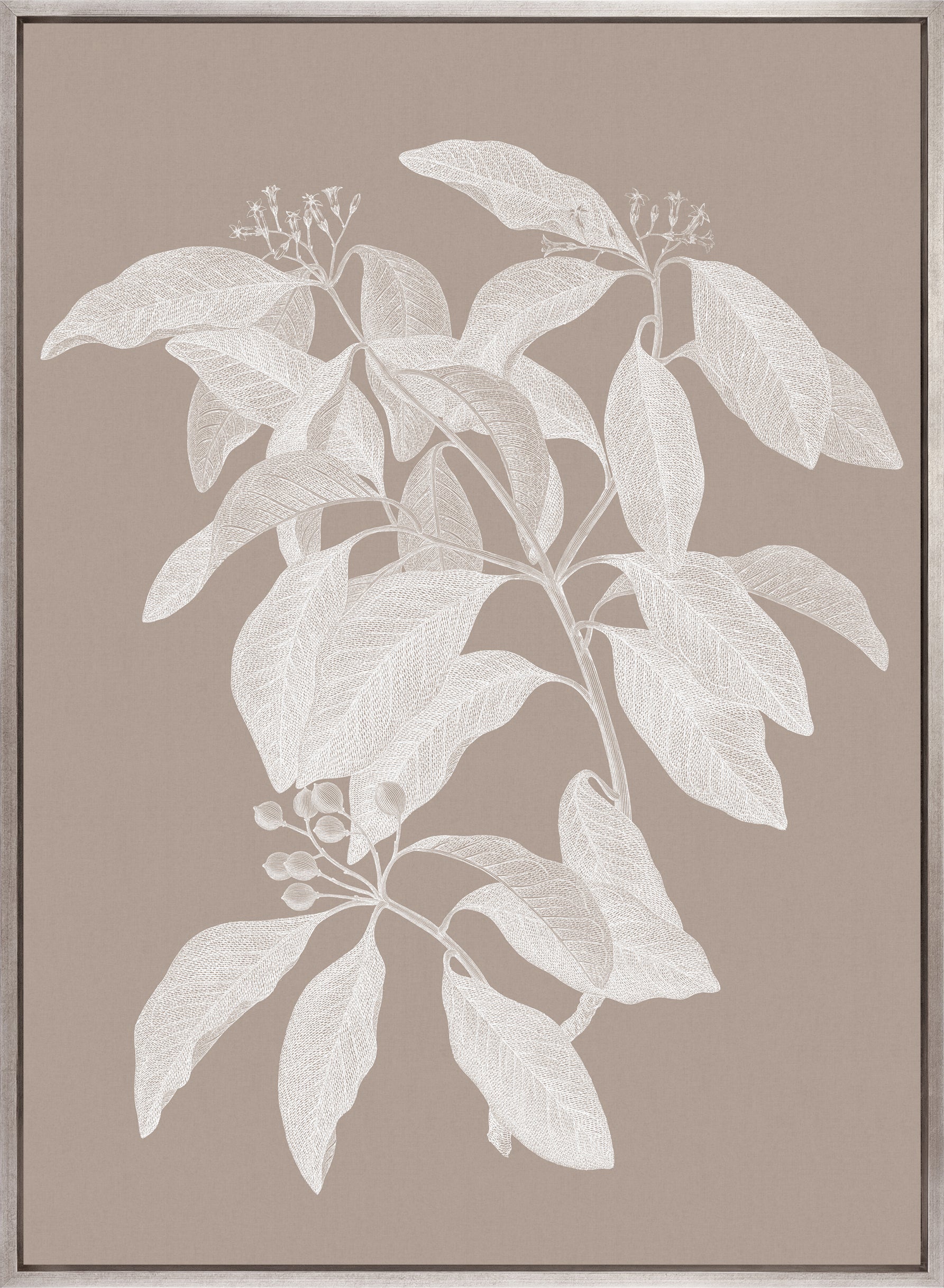 Heritage Botanical IV (Canvas)