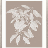 Heritage Botanical IV X-Large (1000mm W x 1400mm H) / Clear Acrylic