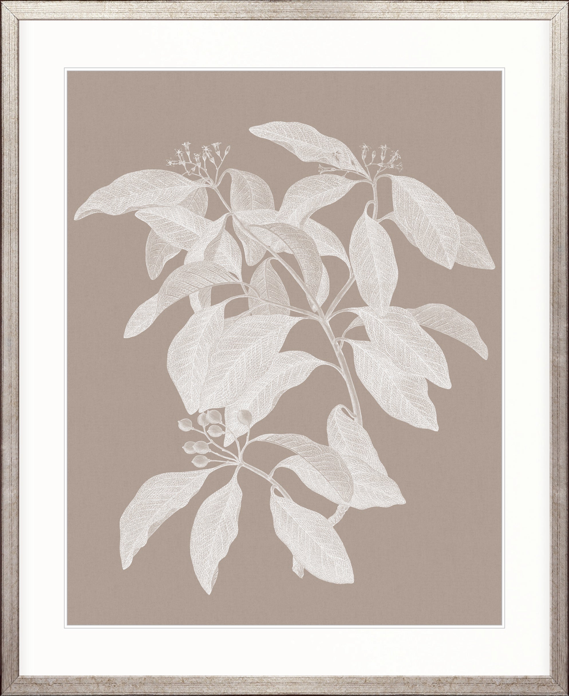 Heritage Botanical IV X-Large (1000mm W x 1400mm H) / Clear Acrylic