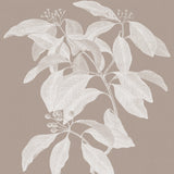 Heritage Botanical IV