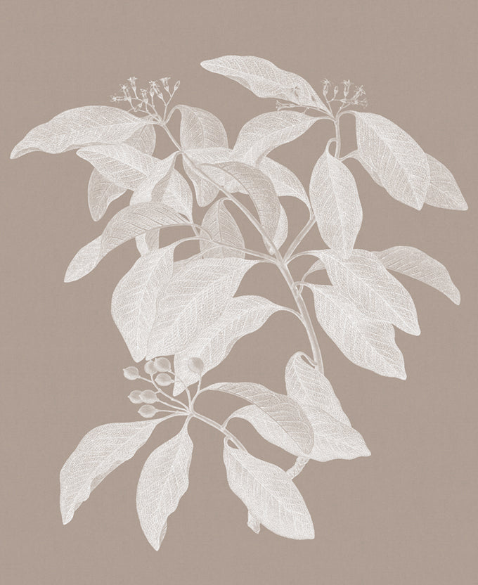 Heritage Botanical IV