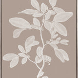 Heritage Botanical V (Canvas) Large (903mm W x 1109mm H)