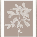 Heritage Botanical V X-Large (1000mm W x 1400mm H) / Clear Acrylic