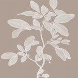 Heritage Botanical V