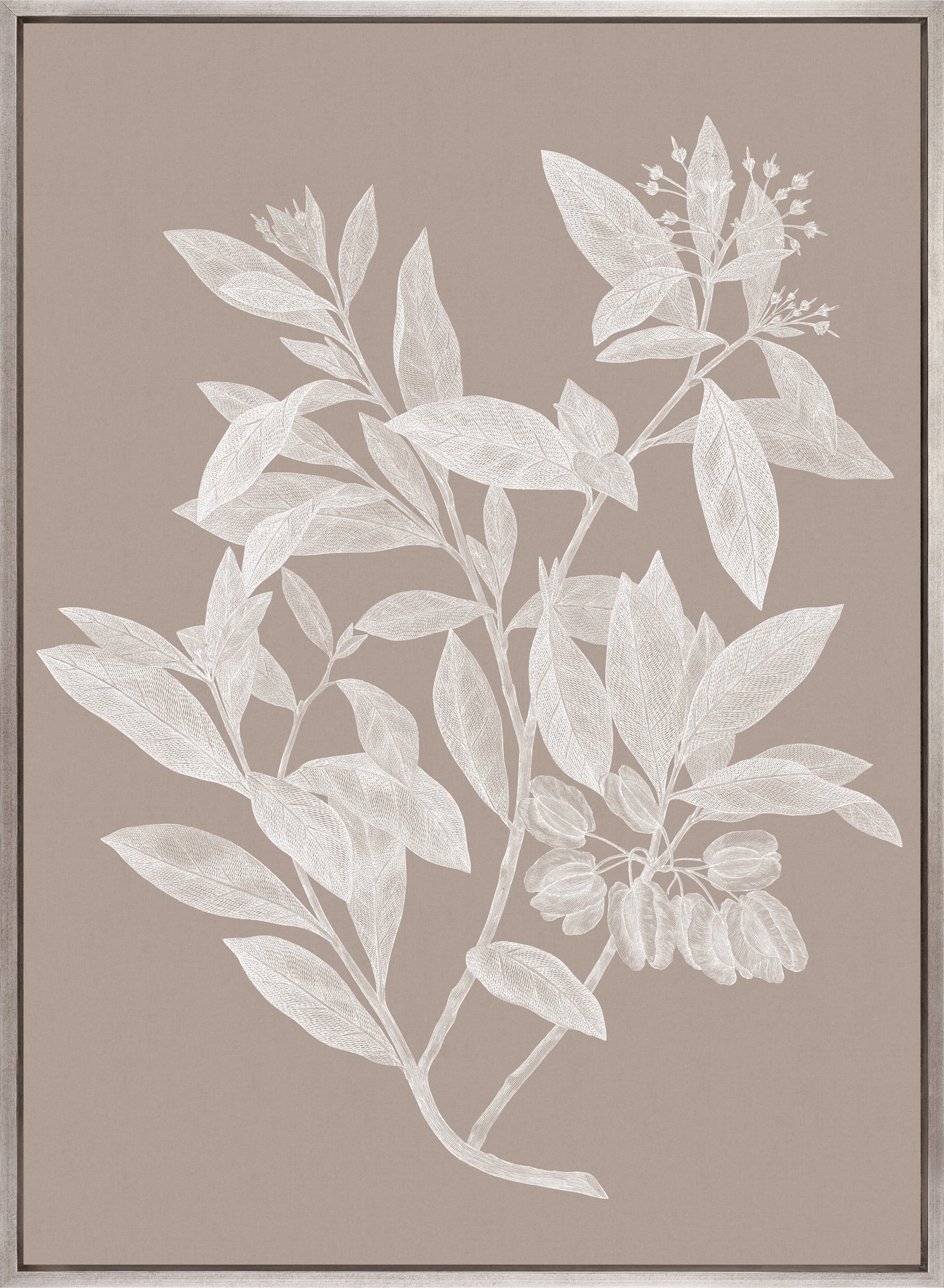 Heritage Botanical VI (Canvas)