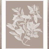 Heritage Botanical VI X-Large (1000mm W x 1400mm H) / Clear Acrylic