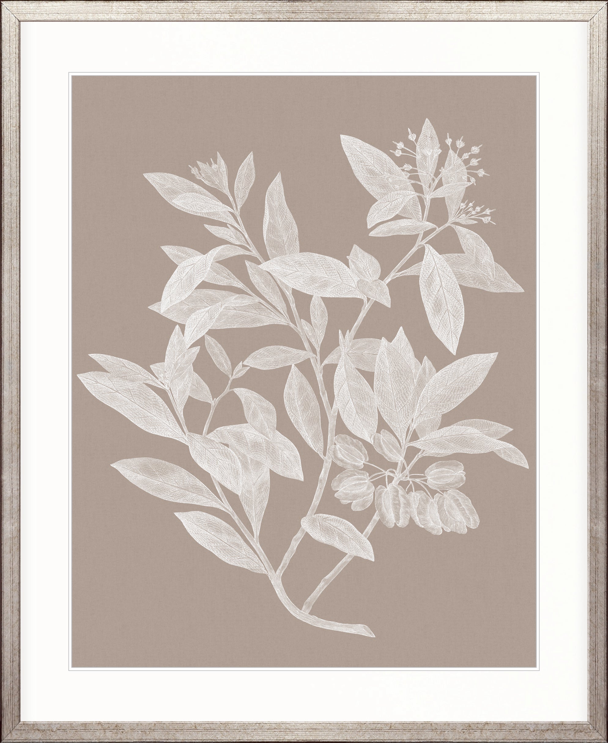 Heritage Botanical VI X-Large (1000mm W x 1400mm H) / Clear Acrylic