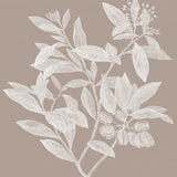 Heritage Botanical VI