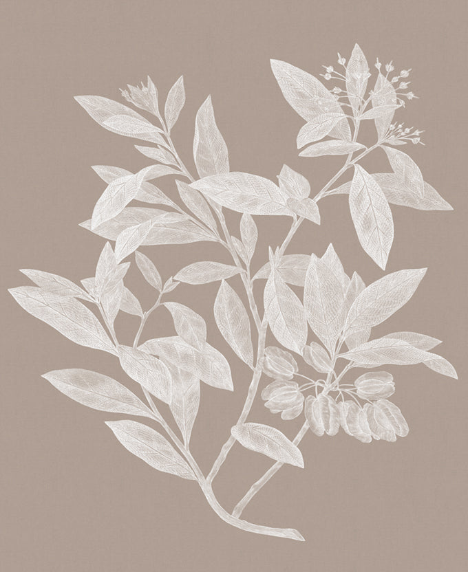 Heritage Botanical VI
