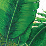 Evergreen Foliage I (Canvas)