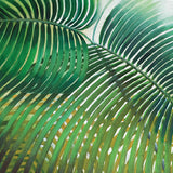 Evergreen Foliage II