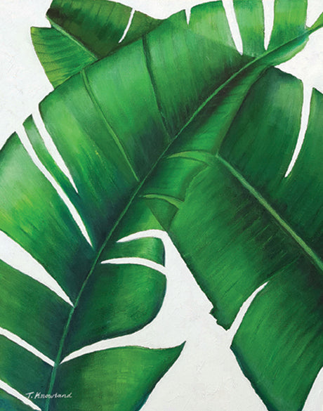 Evergreen Foliage III (Canvas)