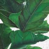 Evergreen Foliage IV (Canvas)