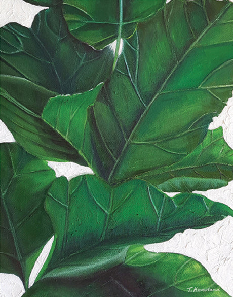 Evergreen Foliage IV (Canvas)