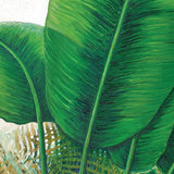 Evergreen Foliage IX (Canvas)