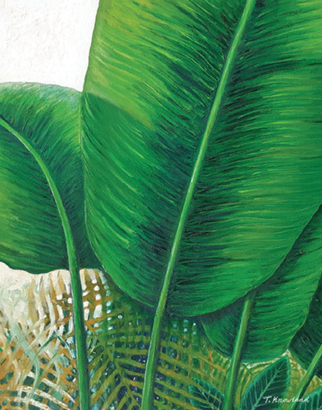 Evergreen Foliage IX