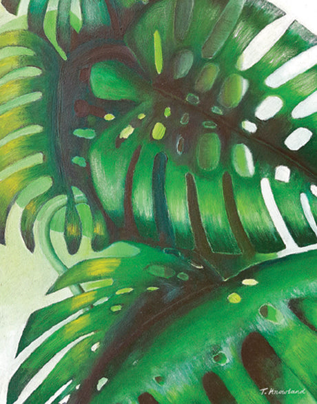 Evergreen Foliage XI (Canvas)