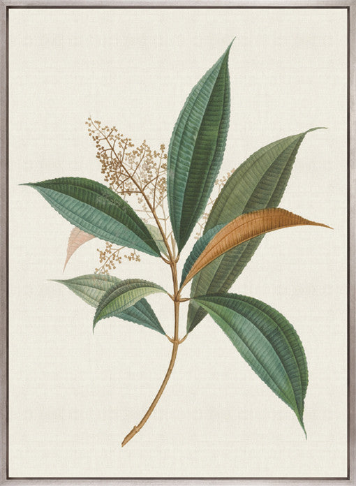 Floral Elegance I (Canvas)