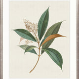 Floral Elegance I
